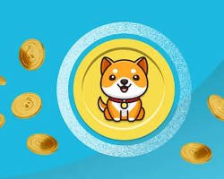 Image of Baby Doge Coin (BabyDoge) meme coin